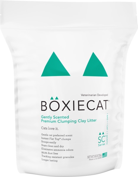 Boxie Cat  Boxie Cat Litter  GentlyScPRM  28#