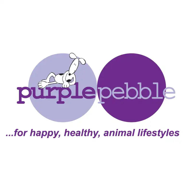 Purple Pebble Purple Pebble