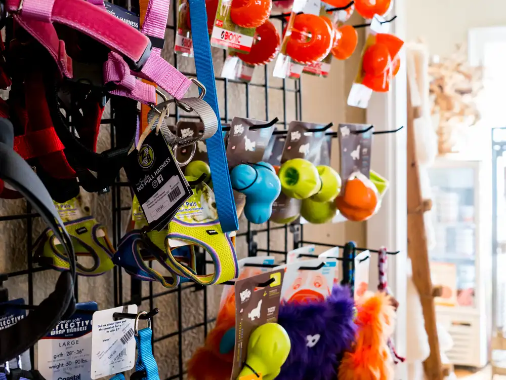 Pet Toys and Accessories